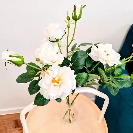 Bella Mare 2br فارنا